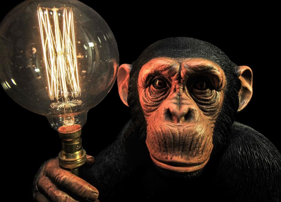 Chimp lamp shop